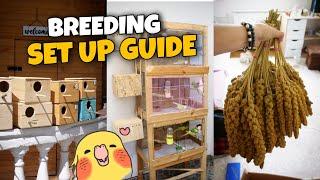 Cockatiel Breeding Ep 2 Setting up the perfect environment