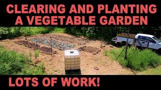 Starting a Vegetable Garden from Scratch