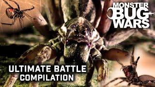 The Ultimate Battle Compilation   Monster Bugs Wars