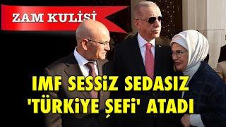 ZAM KULİSİ IMF SESSİZ SEDASIZ TÜRKİYE MASASI ŞEFİ ATADI