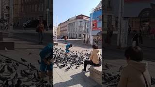 feeding birds in Zagreb ️ #birds #croatia #zagreb #travel #shorts