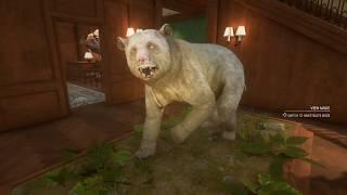 Diamond Albino Brown Bear  │Medved Taiga Final Mission │ The Hunter Call Of The Wild