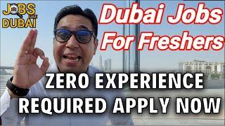 Jobs In Dubai For Freshers  Apply For Dubai Job Vacancies