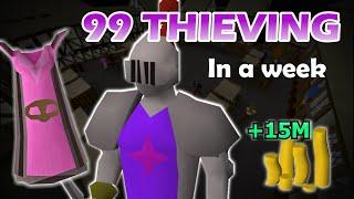 OSRS 99 THIEVING guide from Ardy Knight with tips and tricks 250K xphr