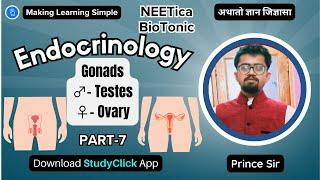 Gonads Male - Testes and Female - Ovary and Hormones  Endocrinology Part-7  #neet