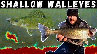 Ice Fishing SHALLOW Walleyes Underwater Footage -  How to find the Spot on the Spot Transition