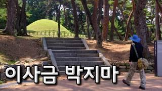 경주 짬 파사 지마 일성 아달라 지마의 아들 아도