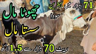 Malir Mandi Me 70k to 150k Wala Maal  Cattle Rates Updates  Cow Mandi 2024