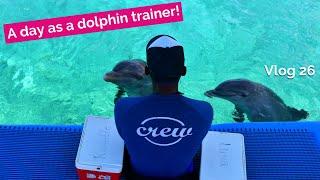 BEHIND THE SCENES with dolphin trainer Ruel @DolphinAcademyCur  #26