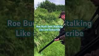 Roe Buck Deer Stalking