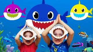 Baby Shark Dance 2  Sing and Dance  Animal Songs   동요와 아이 노래  어린이 교육