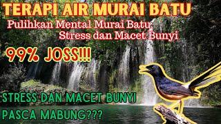 TERAPI AIR MURAI BATU  PULIHKAN MENTAL MURAI BATU STRESS DAN MACET BUNYI  TERAPI MABUNG