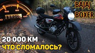 Bajaj Boxer  —  спустя 20 000 км  Отзыв поломки допы  Идеальный утилитарный мотоцикл?