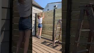 EASIEST DIY PRIVACY WALL  #diy #backyard