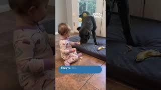 Toddler and Puppy Share Banana