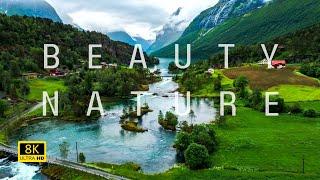 Relaxing Music With Beautiful Nature Videos  Beauty Nature of The World Peaceful Relaxing Music