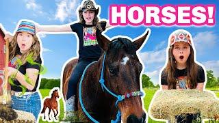 A Day in the Life of a Horse Owner Horses for Kids