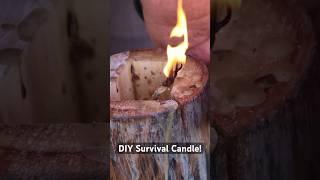 DIY Survival Candle Watch Full Video #bushcraft #survival #survive #candle #diy #skills #winter