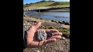 Jurassic Coast Daytime Fossil Hunting At Charmouth Beach