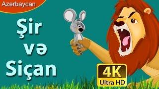 Şir və Siçan  Lion And Mouse in Azer  Duymecik Cizgi Filmi  Nagillar Alemi  Azərbaycan Nağılları