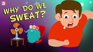 Why Do We Sweat? - The Dr. Binocs Show  Best Learning Videos For Kids  Peekaboo Kidz