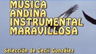 MUSICA ANDINA INSTRUMENTAL MARAVILLOSA. ANDEAN INSTRUMENTAL MUSIC  Musica De Cecil Gonzalez