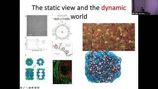 TALK 5 Single Molecule Techniques – Chris Batters