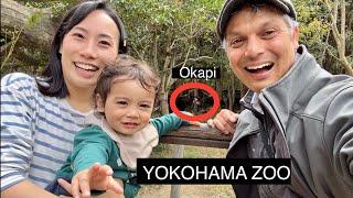 Yokohama Zoo Experience  ZOORASIA
