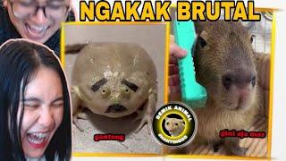 FEBY SAMPAI NGOMPOL DI CELANA WKWKWK - Reaction Demik Animal #2