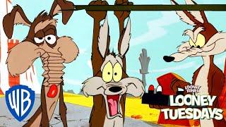 Looney Tuesdays  Ralph VS Wile E. Coyote  Looney Tunes   @wbkids