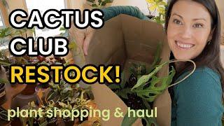 CACTUS CLUB RESTOCK - Rare Plant Shopping & Houseplant Haul - Indoor Plants Charlotte NC