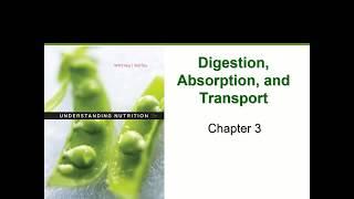 Digestion Absorption & Transport Chapter 3