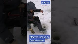 рыбалка на Рыбинском водохранилище. Река Сить