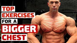 Top Trainers Agree These Are the Best Exercises for Building a Bigger Chest