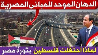 مصر تبدأ الدهان الموحد للمبانى على الطريق الدائرى ولماذا احتفلت فلسطين بثورة مصر من غزة ؟