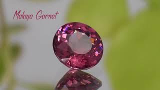 3.23 Carat Round Malaya Garnet - GemSelect Video Review