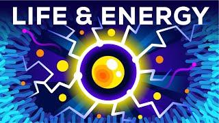 Why Are You Alive – Life Energy & ATP