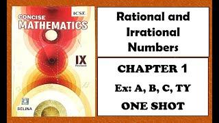 ICSE Class 9  Rational and Irrational Numbers  Chapter 1  Selina  Concise Mathematics 