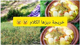 #خرجنا.الغابة.تغدينا.فيها.أجواء.مع.عائلتي جميلة جدا#