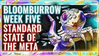 MTG Standard Decks Tier List for Bloomburrow Week 5  MTG Rebellion