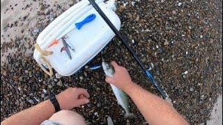 How to catch mackerel from the shore - for beginners