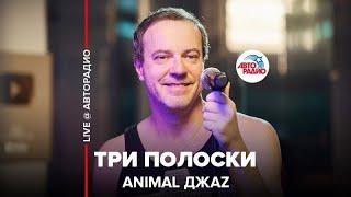 Animal ДжаZ - Три Полоски LIVE @ Авторадио