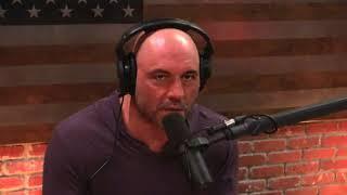 Joe Rogan & Neal Brennan on Micro-dosing Mushrooms