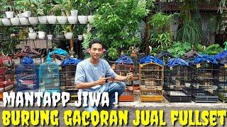 LAGI2 EDIE JOVANIS BORONG BURUNG DAN SEMUANYA DI JUAL FULLSET BURUNG GACORAN DAN JADI. PART 1