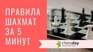 Основные правила шахмат за 5 минут Видео для начинающих.