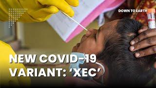 Why is the new COVID-19 variant XEC more contagious?