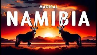 MAGICAL NAMIBIA  The Amazing Wildlife of Namibia Full Documentary