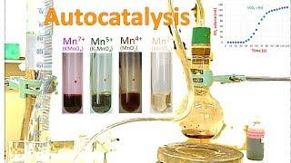 Autocatalysis reaction hands-on