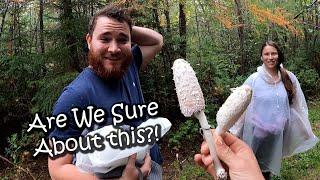 Eating a Mushroom We Found on a Hike  Autumn Adventures #10
