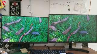 monitor 21 inch vs 24 inch Size Comparison